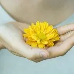 Лікувальне харчування при псоріазі, меню, корисні і заборонені продукти (меню) Лікувальне харчування при псоріазі, меню, корисні і заборонені продукти