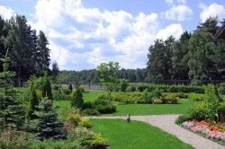 Ландшафтний дизайн лісової ділянки проект і особливості благоустрою (лісового) Ландшафтний дизайн лісової ділянки проект і особливості благоустрою