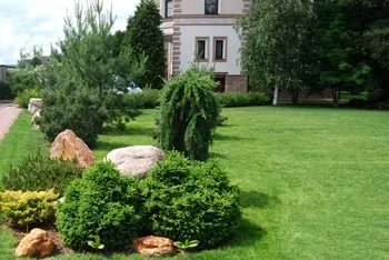 Ландшафтний дизайн на лісових ділянках (ландшафтний) Ландшафтний дизайн на лісових ділянках