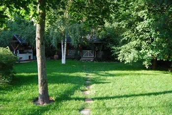 Ландшафтний дизайн на лісових ділянках (ландшафтний дизайн) Ландшафтний дизайн на лісових ділянках