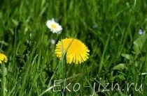Лікування остеохондрозу шийного відділу хребта (відділу) Лікування остеохондрозу шийного відділу хребта