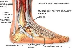 Лікування невриту стопи