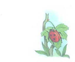 Літо в картинках і віршах для дітей (літо) Літо в картинках і віршах для дітей