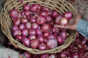 Лікування остеоартрозу народними засобами заходи і рецепти (засобами) Лікування остеоартрозу народними засобами заходи і рецепти