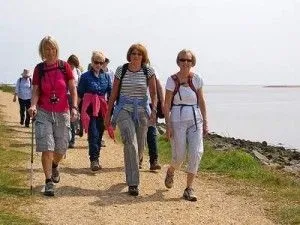 Лінивий шлунок і його лікування народними засобами (ледачий) Лінивий шлунок і його лікування народними засобами