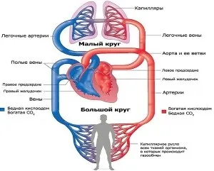 Лікування серцево-судинних захворювань (серцево-судинних) Лікування серцево-судинних захворювань