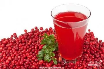 Лікування соками печінки