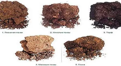 Стрічковий фундамент глибина закладення і на яку копати (закладення) Стрічковий фундамент глибина закладення і на яку копати