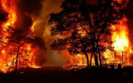 Лісова пожежа як врятуватися (Ввійти допомогою Facebook) Лісова пожежа як врятуватися