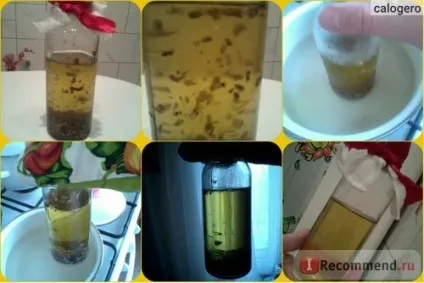 Лікарські рослини ооо шавлія лопух - «реп'яхову олію своїми руками для густих і довгих волосся (масло) Лікарські рослини ооо шавлія лопух - «реп'яхову олію своїми руками для густих і довгих волосся