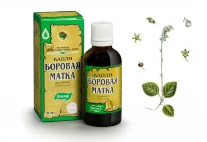 Лікування поліпів матки народними засобами (поліпів) Лікування поліпів матки народними засобами
