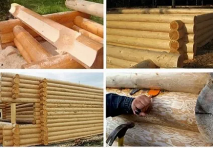 Ліс кругляк, будинок з кругляка, особливості будівель з кругляка, робимо своїми руками (кругляк) Ліс кругляк, будинок з кругляка, особливості будівель з кругляка, робимо своїми руками