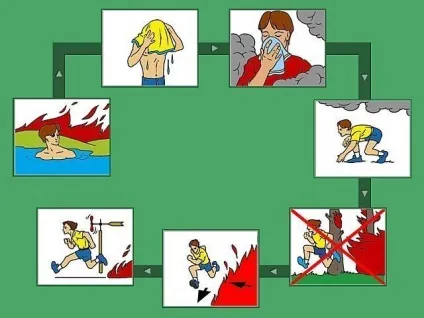 Лісова пожежа як врятуватися (землі менш задимлений) Лісова пожежа як врятуватися