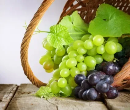 Лікування виноградом - як правильно це робити користь чи шкода