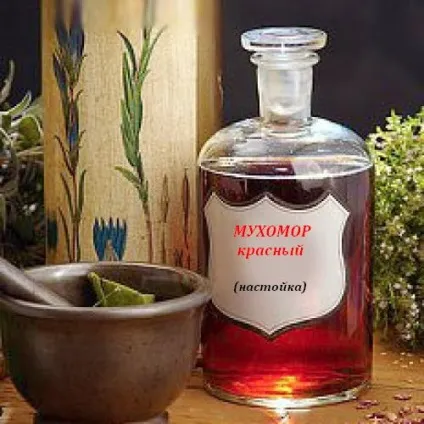 Лікування мухомором червоним, настоянка на мухоморі (мухоморі) Лікування мухомором червоним, настоянка на мухоморі