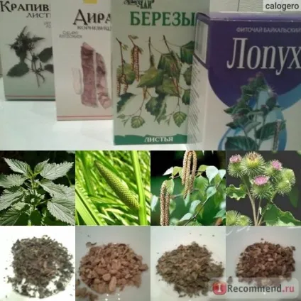 Лікарські рослини ооо шавлія лопух - «реп'яхову олію своїми руками для густих і довгих волосся (реп'яхову) Лікарські рослини ооо шавлія лопух - «реп'яхову олію своїми руками для густих і довгих волосся