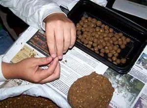 Ловля коропа на Бойл