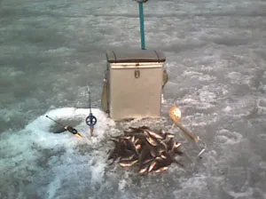 Ловля риби без наживки, на «порожню» мормишку »