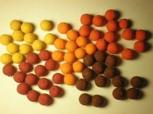 Ловля коропа на Бойл