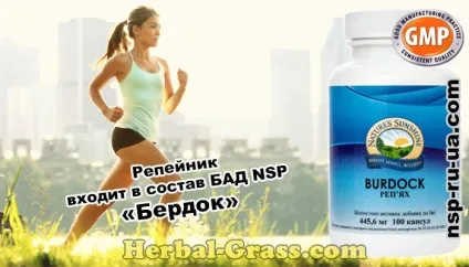 Лопух великий (реп'ях) - фото, застосування, корисні, лікувальні властивості, протипоказання, (застосування) Лопух великий (реп'ях) - фото, застосування, корисні, лікувальні властивості, протипоказання,