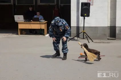 Ловили злочинців і шукали наркотики службові собаки влаштували цирк на вокзалі (наркотики) Ловили злочинців і шукали наркотики службові собаки влаштували цирк на вокзалі
