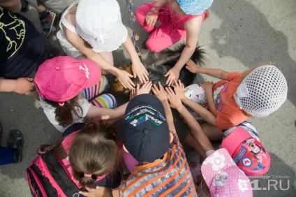Ловили злочинців і шукали наркотики службові собаки влаштували цирк на вокзалі (собаки) Ловили злочинців і шукали наркотики службові собаки влаштували цирк на вокзалі
