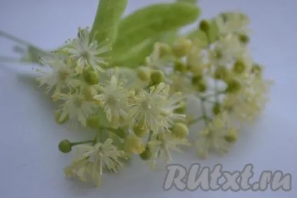 Липовий »липовий мед - рецепт з фото