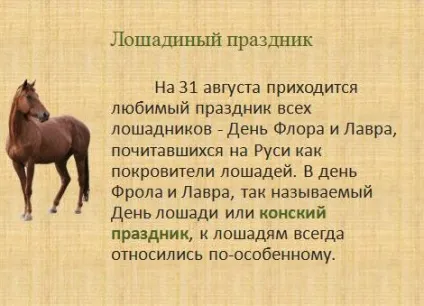 кінський свято