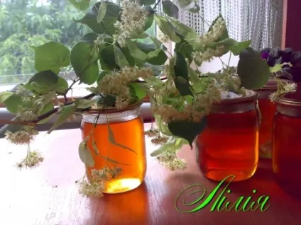 Липовий мед рецепт