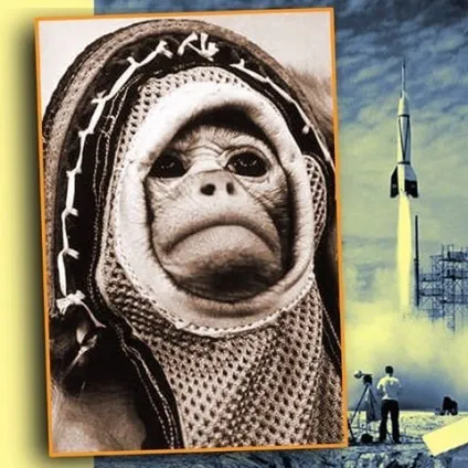 лінія кишені