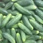 Лук порей вирощування і догляд в домашніх умовах (догляд) Лук порей вирощування і догляд в домашніх умовах