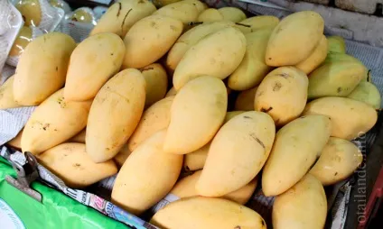 Манго, фрукт