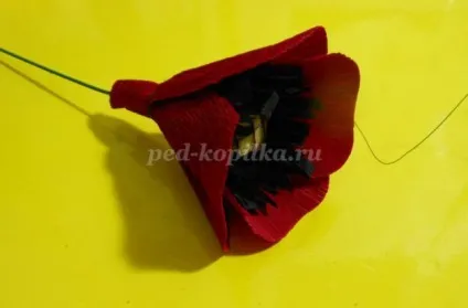 Маки з креповой паперу своїми руками (маки) Маки з креповой паперу своїми руками