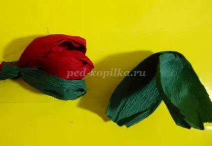 Маки з креповой паперу своїми руками (креповой) Маки з креповой паперу своїми руками