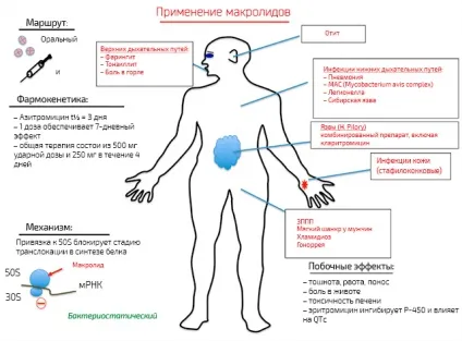 Макролідні антибіотики всі переваги макролідів (макролідів) Макролідні антибіотики всі переваги макролідів