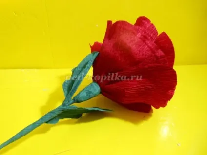 Маки з креповой паперу своїми руками (своїми) Маки з креповой паперу своїми руками