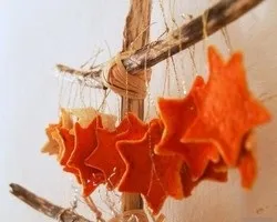 Маска з мандаринових корок рецепти приготування (маска) Маска з мандаринових корок рецепти приготування