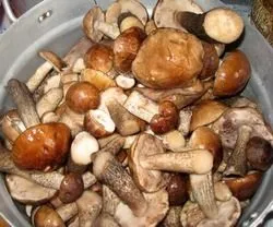 Мариновані підберезники на зиму, покроковий рецепт, з картинками, чистити, страви з грибів, фото (покроковий) Мариновані підберезники на зиму, покроковий рецепт, з картинками, чистити, страви з грибів, фото