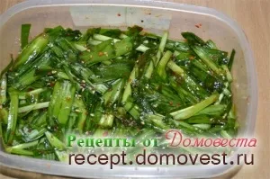 Маринований зелена цибуля по-корейськи - рецепти від домовеста (ложка) Маринований зелена цибуля по-корейськи - рецепти від домовеста