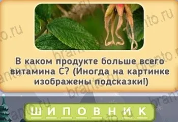 Маша і три ведмеді - відповіді на гру в однокласниках рівні 1-20 (маша і три ведмеді відповіді) Маша і три ведмеді - відповіді на гру в однокласниках рівні 1-20