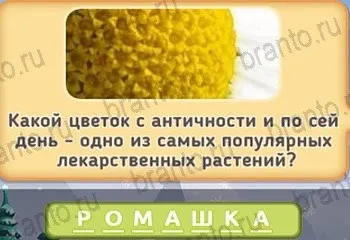 Маша і три ведмеді - відповіді на гру в однокласниках рівні 1-20 (відповіді) Маша і три ведмеді - відповіді на гру в однокласниках рівні 1-20