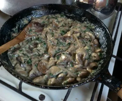 Маслюки смажені з картоплею, рецепти (маслюки смажені картоплею) Маслюки смажені з картоплею, рецепти
