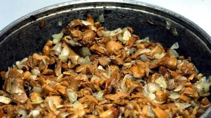 Маслюки, смажені з картоплею - рецепт приготування з фото (слабкому вогні хвилин) Маслюки, смажені з картоплею - рецепт приготування з фото