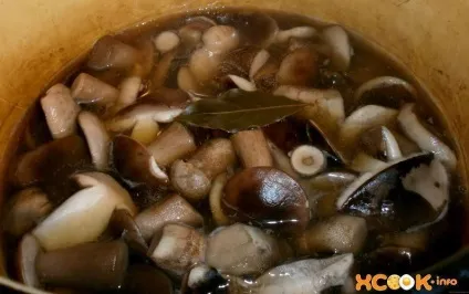 Мариновані підберезники - покроковий рецепт з картинками на зиму (покроковий) Мариновані підберезники - покроковий рецепт з картинками на зиму