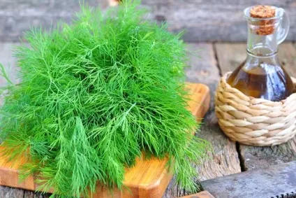 Масло кропу для здоров'я і краси (краси) Масло кропу для здоров'я і краси