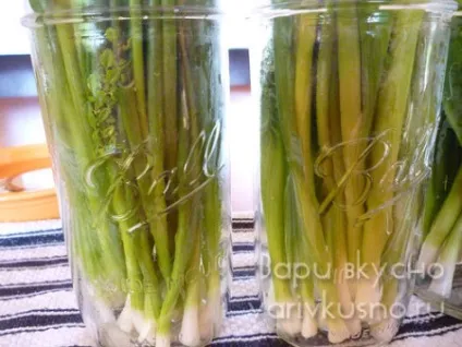 Маринований зелений лук рецепти приготування (рецепти) Маринований зелений лук рецепти приготування