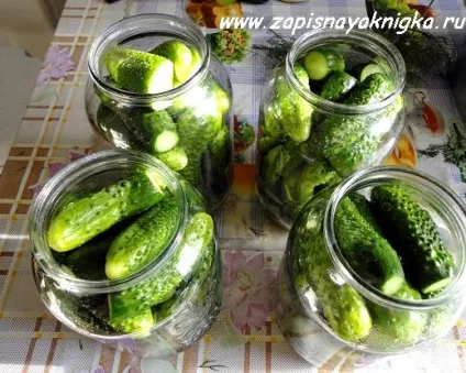 Мариновані огірки в пакеті швидкий рецепт, блог кулінара (блог) Мариновані огірки в пакеті швидкий рецепт, блог кулінара