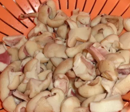 Маслюки, смажені з картоплею - рецепт приготування з фото (маслюки) Маслюки, смажені з картоплею - рецепт приготування з фото