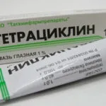 Запахи, які залучають кішок, навколо кота (кішок) Запахи, які залучають кішок, навколо кота