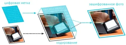 захист фотографії